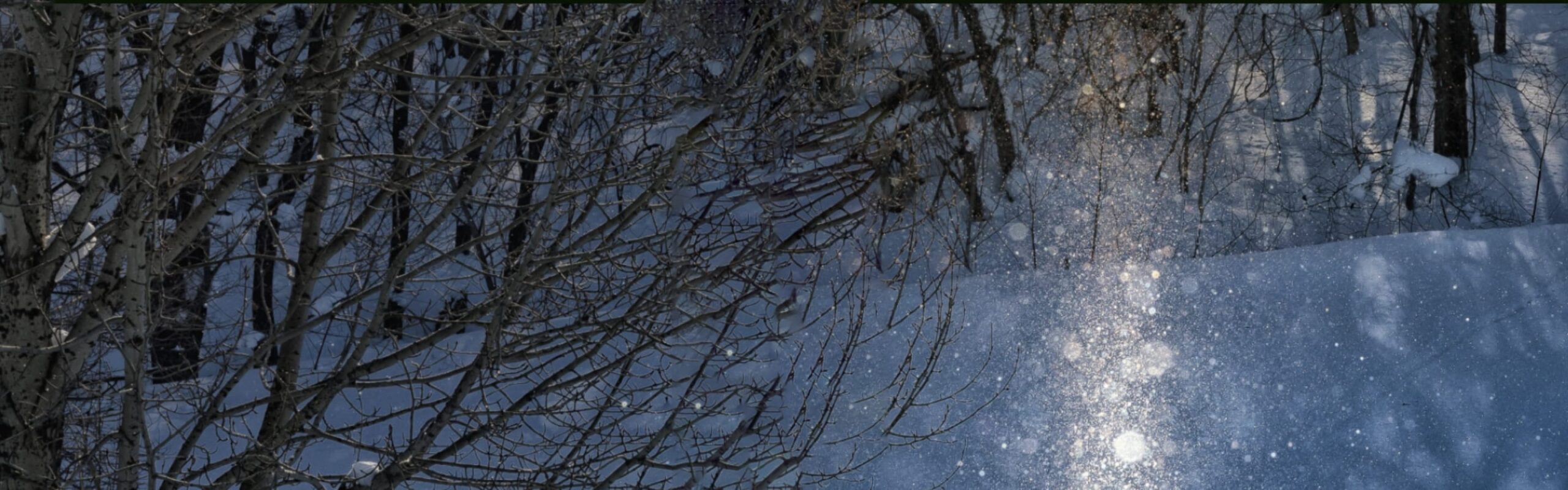 厚岸シングルモルト<br />
ジャパニーズウイスキー<br />
小寒 背景