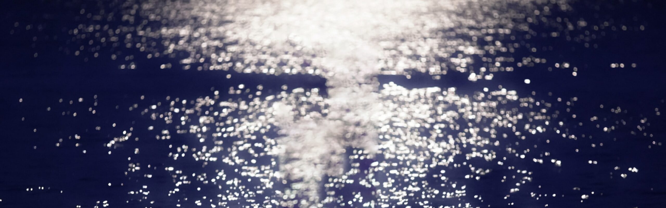 厚岸シングルモルト<br />
ジャパニーズウイスキー<br />
立秋 背景