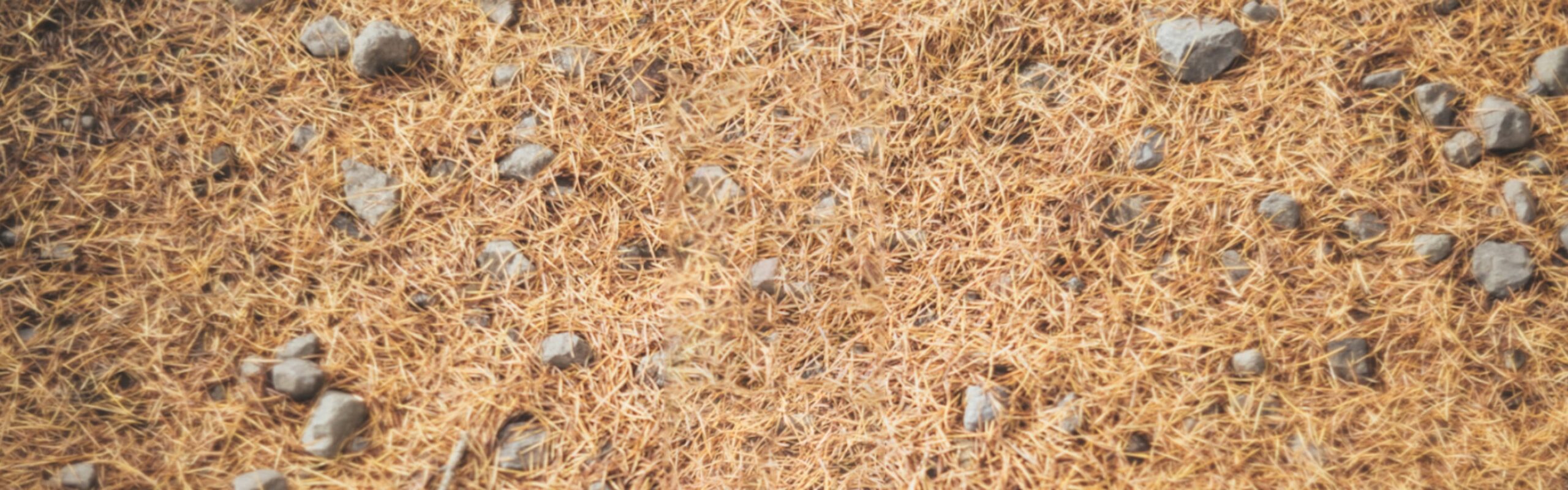 厚岸ブレンデッド<br />
ウイスキー<br />
小雪 背景