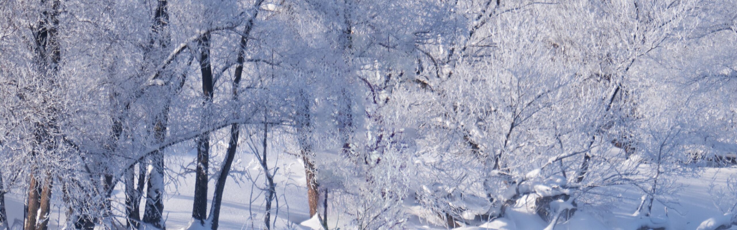 厚岸シングルモルト<br />
ジャパニーズウイスキー<br />
大雪 背景