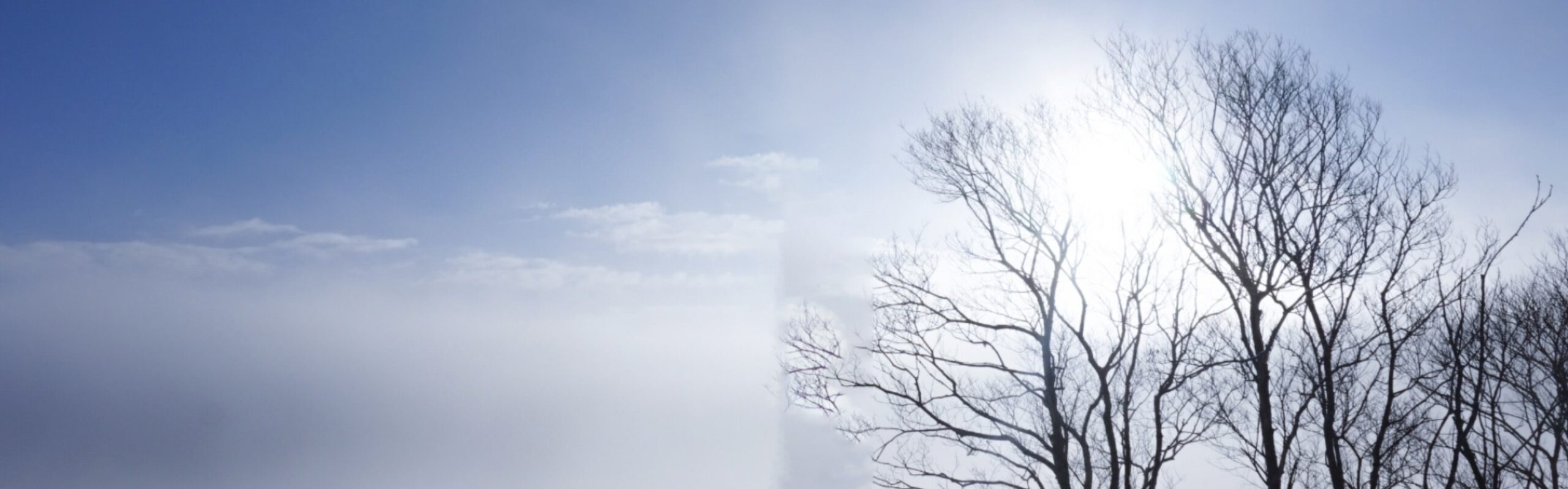 厚岸シングルモルト<br />
ジャパニーズウイスキー<br />
立冬 背景