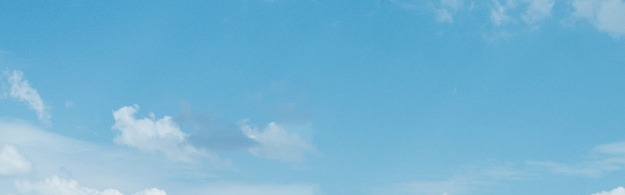 厚岸シングルモルト<br />
ジャパニーズウイスキー<br />
芒種 背景