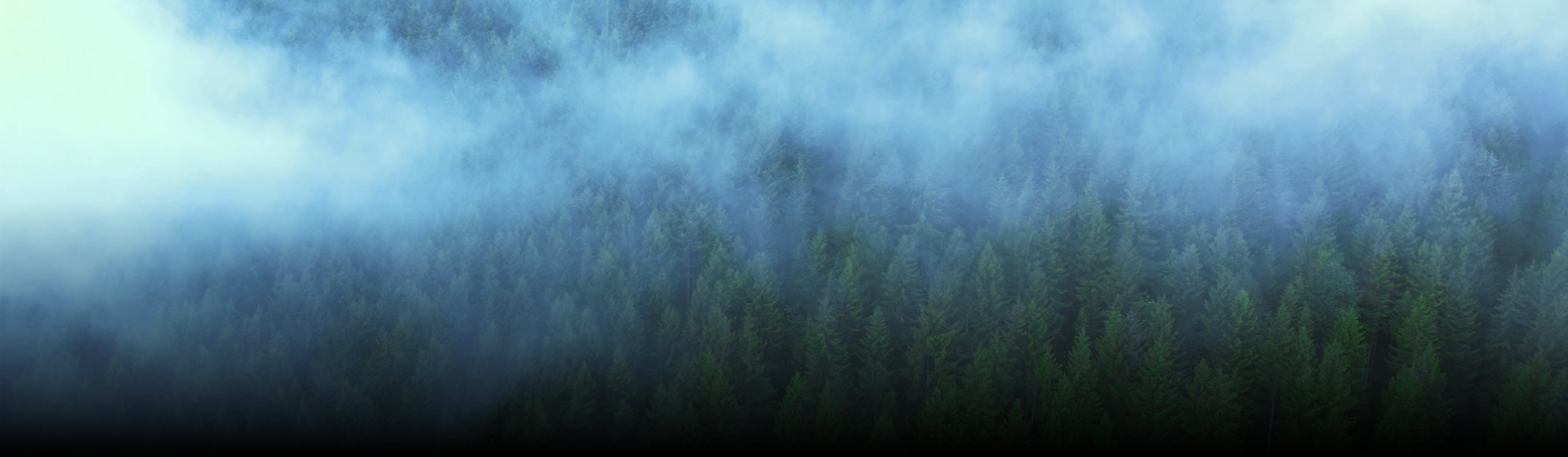 モザイクアート テスト 背景